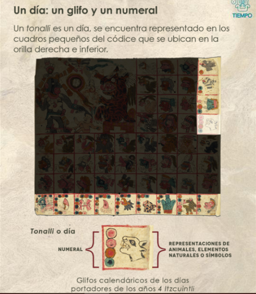 códice prehispánico códice Tonalámatl de Aubin